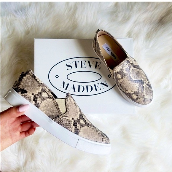 Steve Madden Shoes - NWOB [Steve Madden] Jalia Snakeskin Slip-On Sneakers